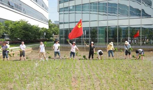 The Hopeful Fields Rice Planting Event and Leading Talent Experience Exchange Activity were Successfully Held